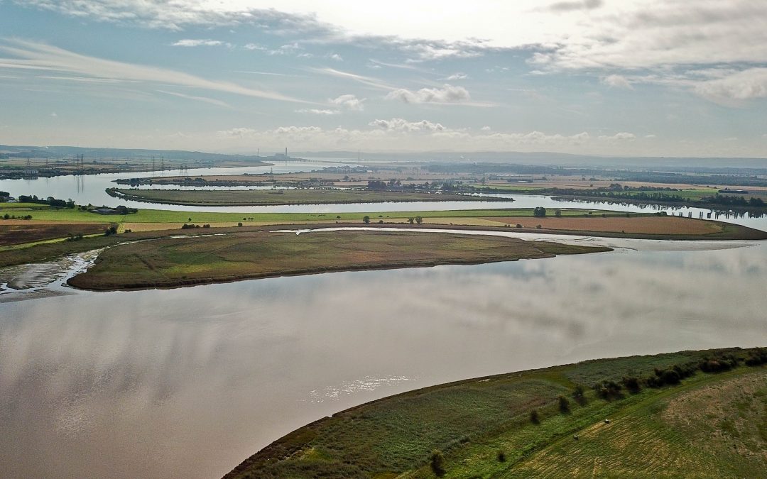 Forth District Salmon Fishery Board Public Meeting – 29 August 2023