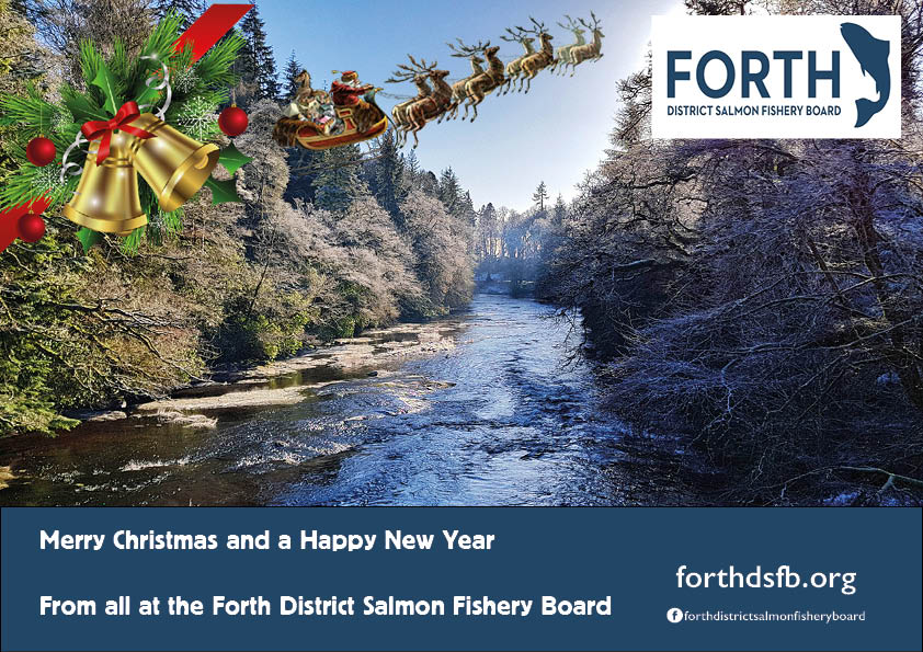 Merry Christmas and a Happy New Year