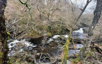 Forth Crown Estate Pilot Project Update