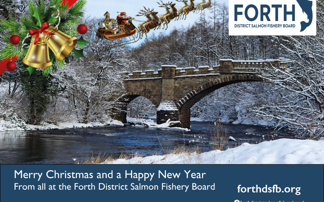 Office Christmas Closure