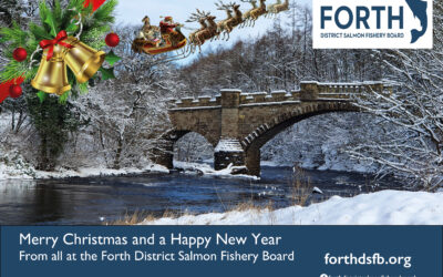 Office Christmas Closure